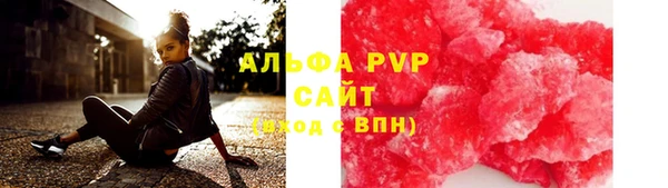 мдпв Инта