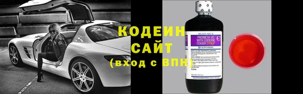 СК Каменногорск