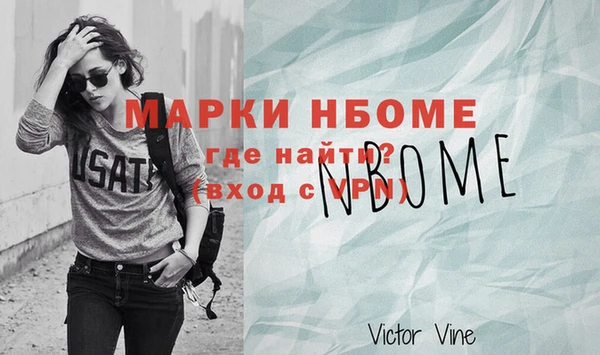 мдпв Инта