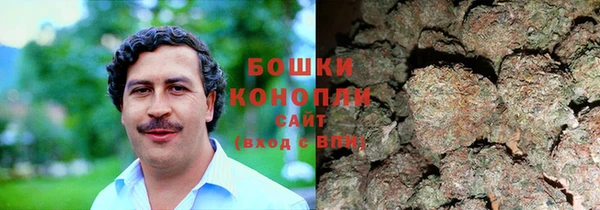 винт Инсар