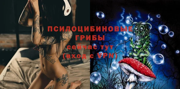 мдпв Инта