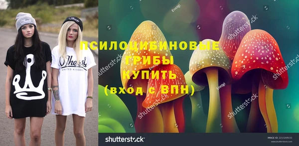 СК Каменногорск