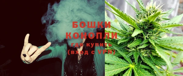 винт Инсар