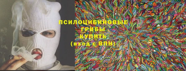 стафф Карпинск