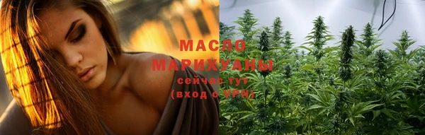мдпв Инта