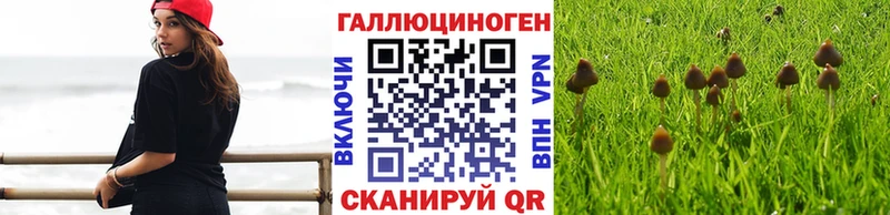 Галлюциногенные грибы Psilocybine cubensis  даркнет формула  Ленск 